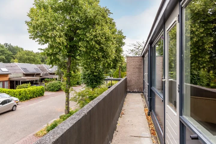Boeier 04 47 Lelystad thumbnail 21