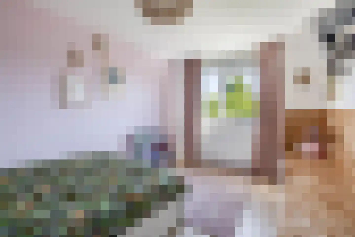 Boeier 10 Barendrecht thumbnail 20
