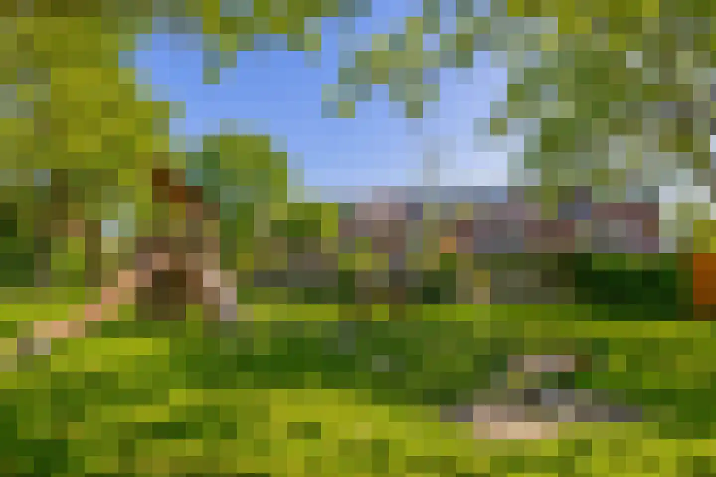Boeier 10 Barendrecht thumbnail 33