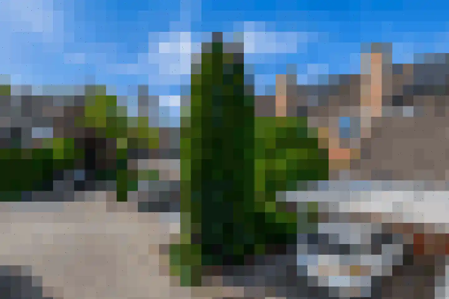 Boeier 10 Barendrecht thumbnail 34