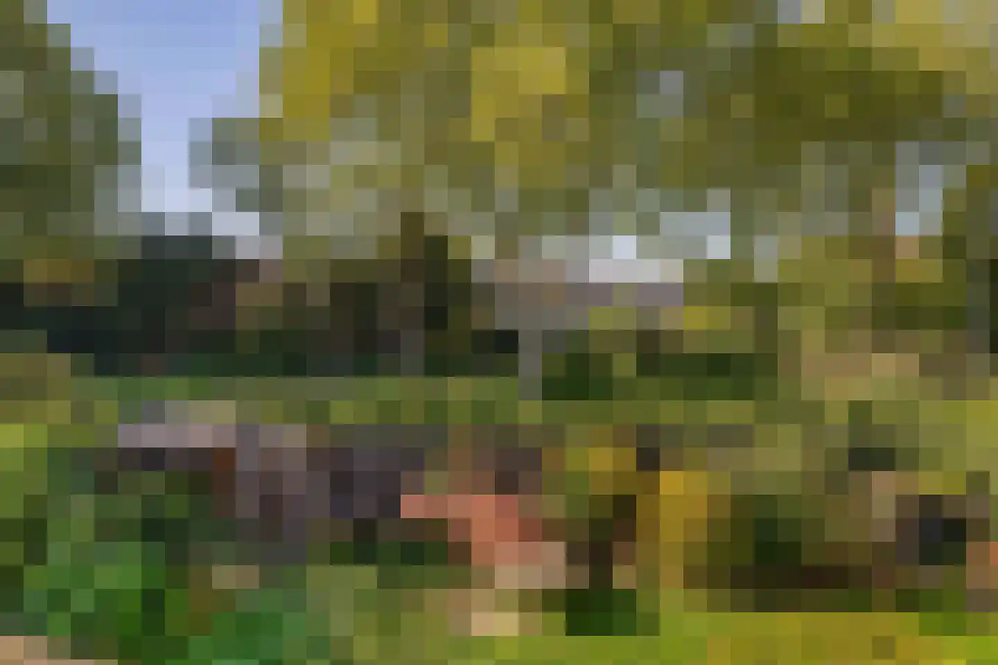 Boeier 103 Barendrecht thumbnail 19