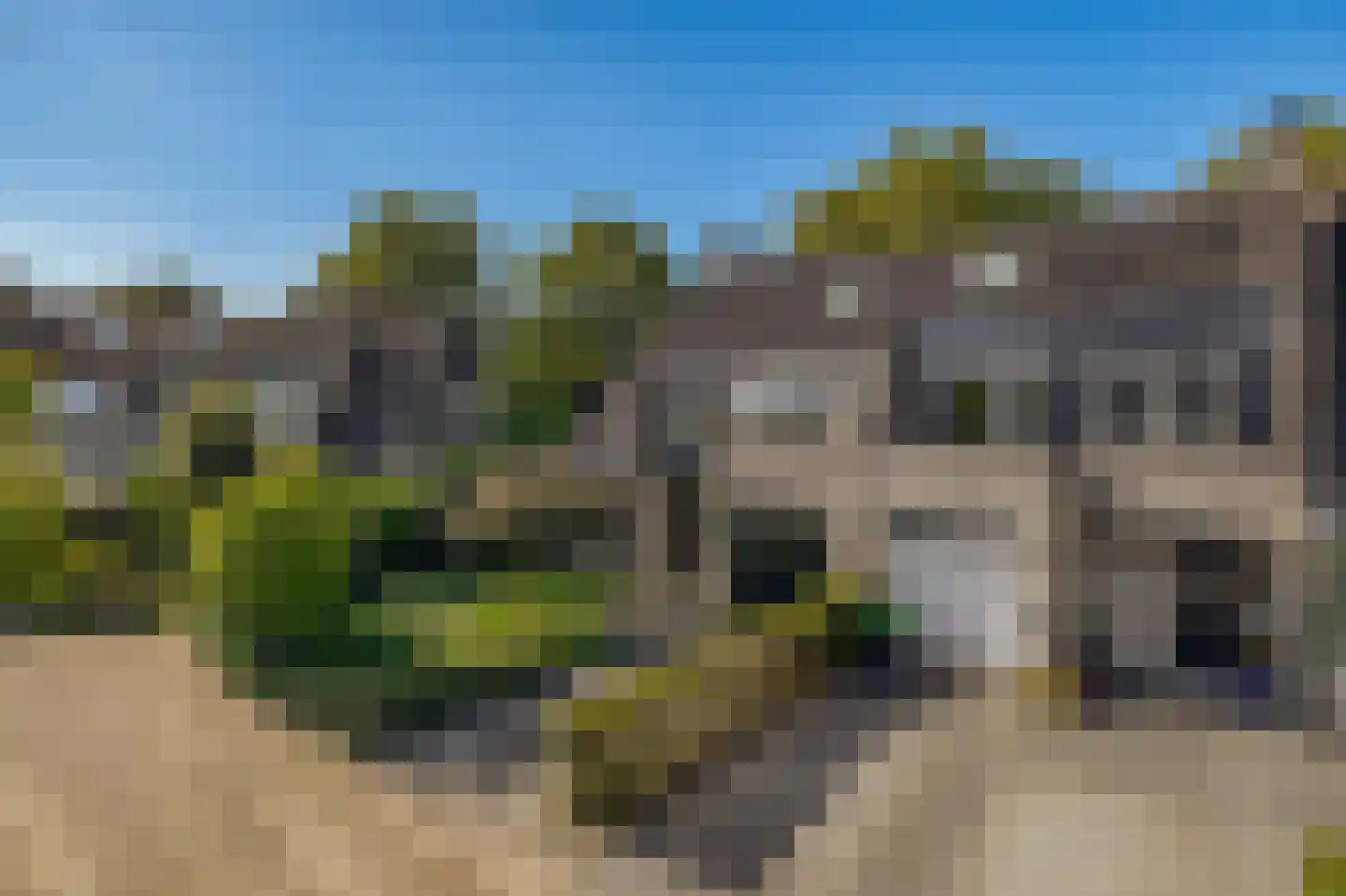 Boeier 103 Barendrecht thumbnail 41
