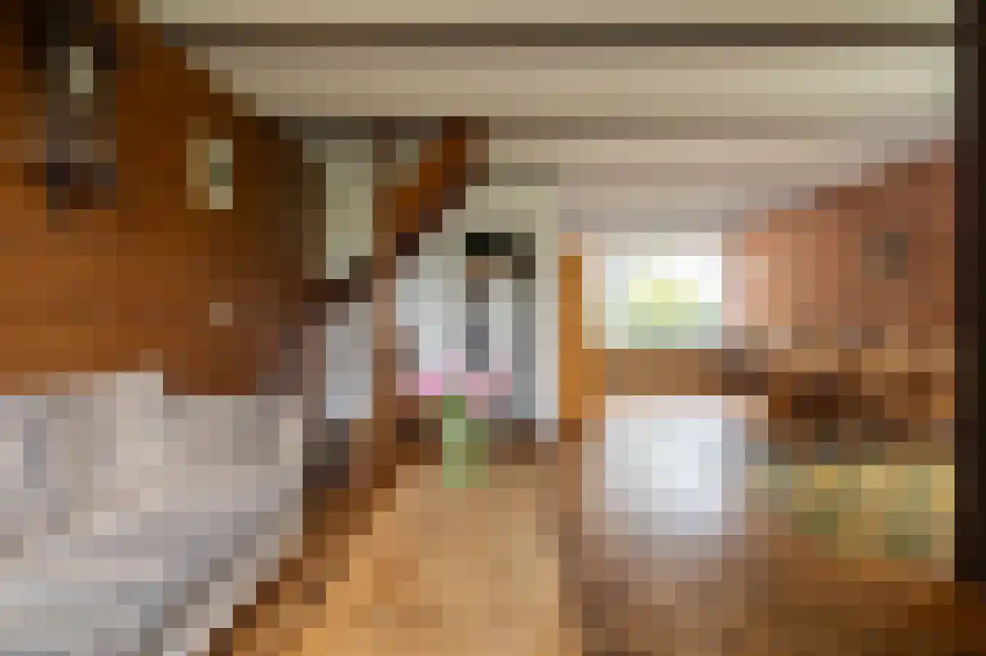 Boeier 11 Wieringerwerf thumbnail 10