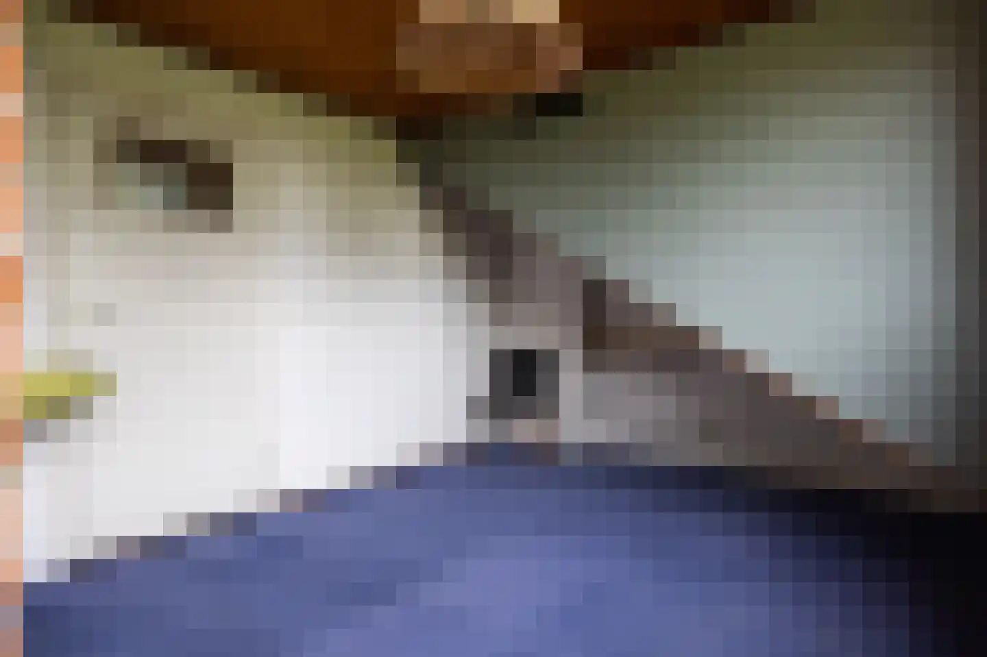 Boeier 11 Wieringerwerf thumbnail 18