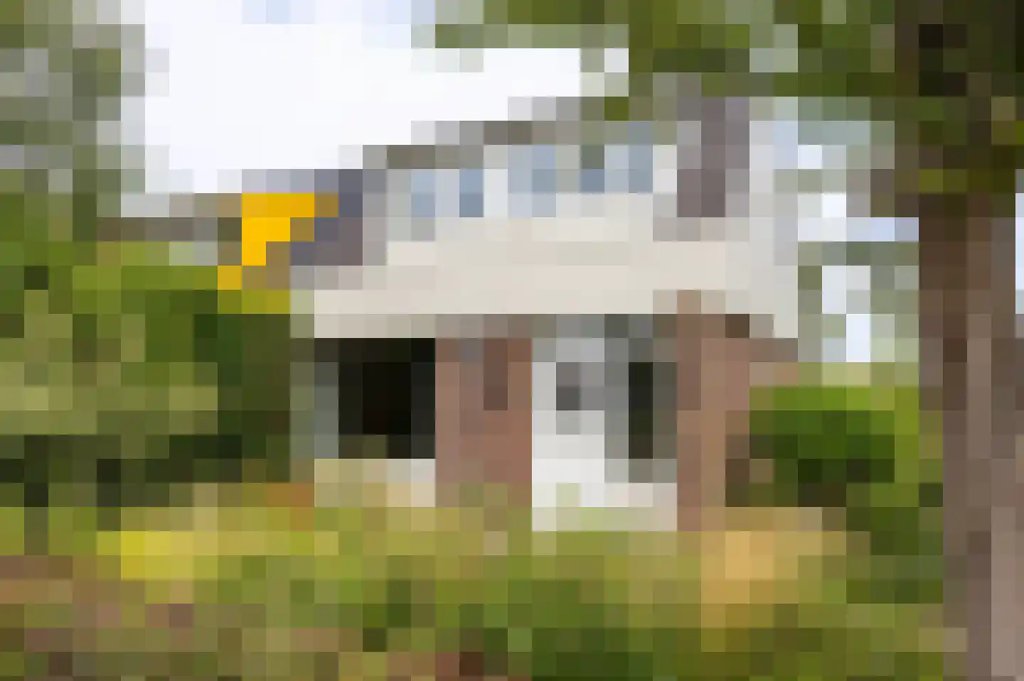 Boeier 11 Wieringerwerf foto 2