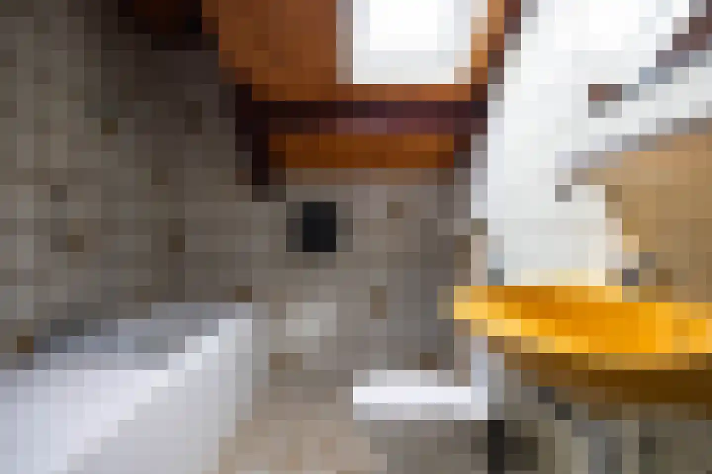 Boeier 11 Wieringerwerf thumbnail 23