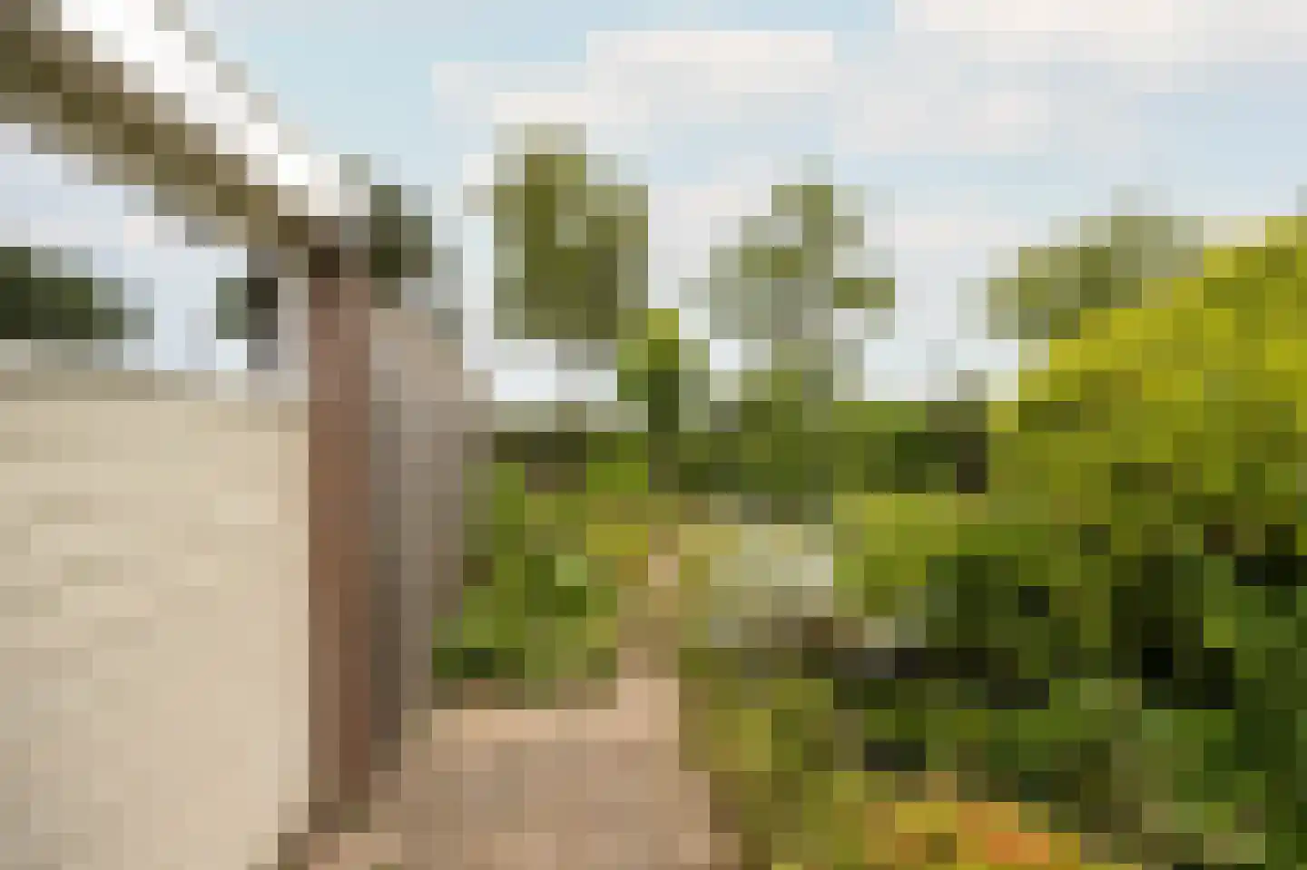 Boeier 11 Wieringerwerf thumbnail 30