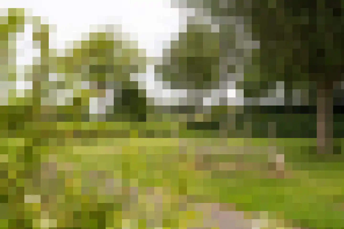Boeier 11 Wieringerwerf thumbnail 35