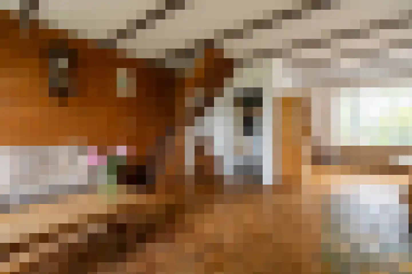 Boeier 11 Wieringerwerf thumbnail 5