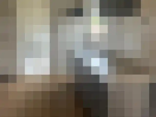 Boeier 12 Obdam thumbnail 13