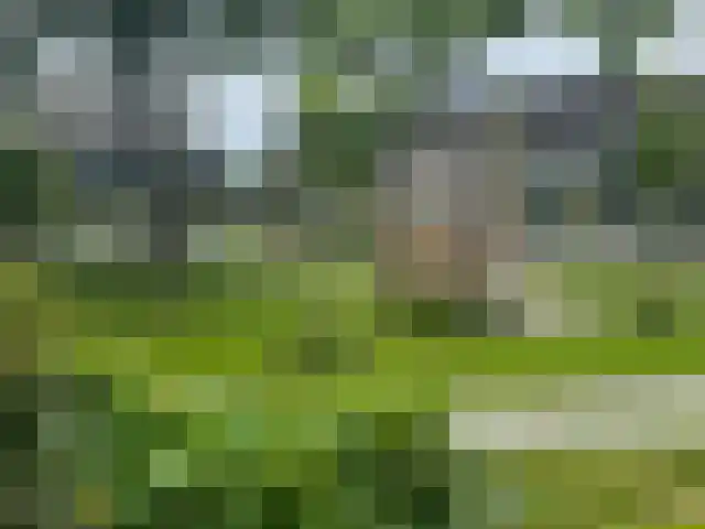 Boeier 12 Obdam thumbnail 30