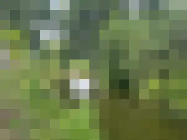 Boeier 12 Obdam thumbnail 9