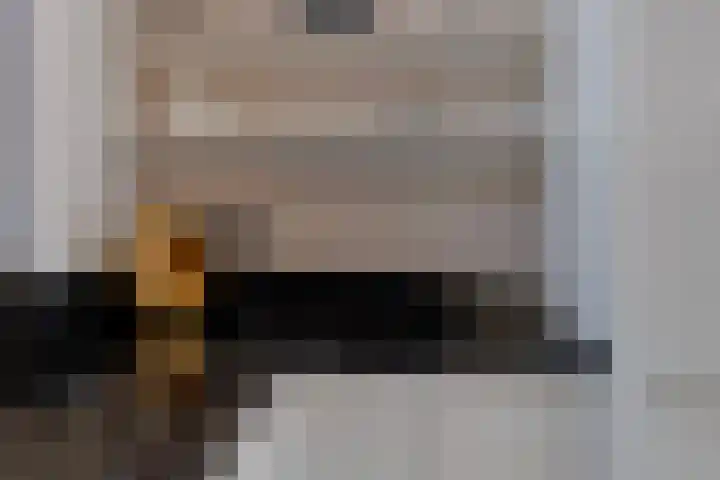Boeier 124 Barendrecht thumbnail 16