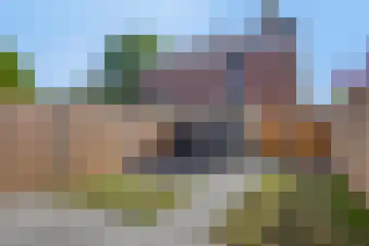 Boeier 124 Barendrecht thumbnail 32