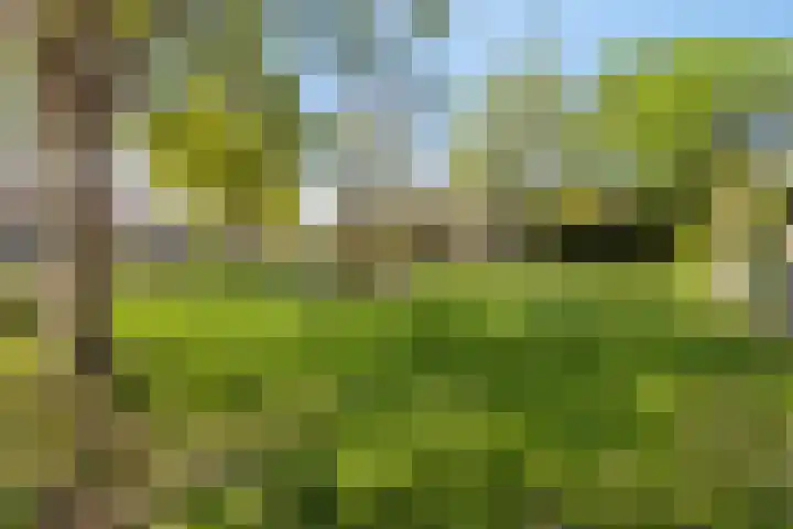 Boeier 124 Barendrecht thumbnail 36