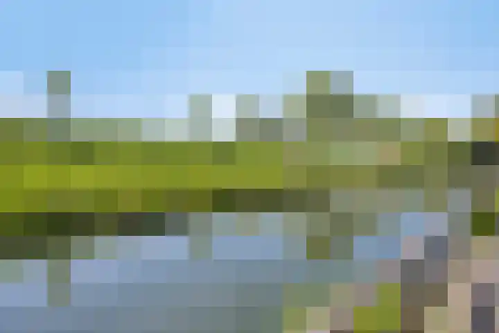 Boeier 124 Barendrecht thumbnail 38