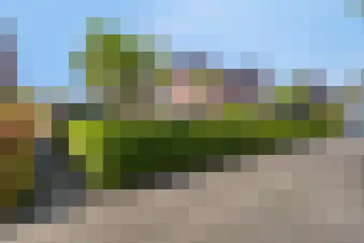 Boeier 124 Barendrecht thumbnail 39