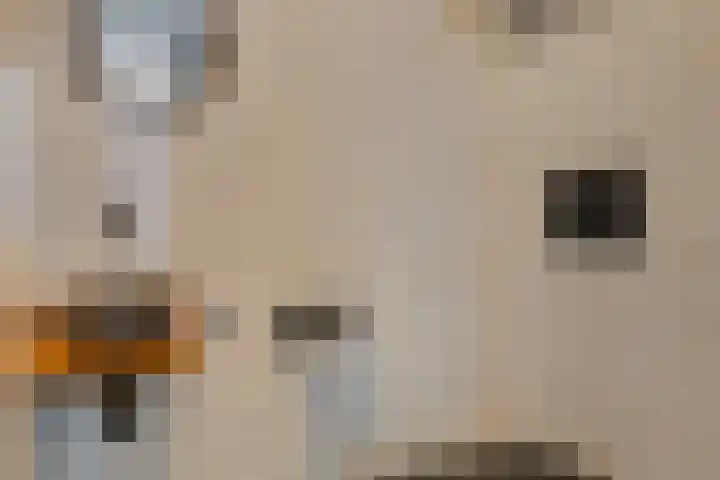 Boeier 124 Barendrecht thumbnail 8