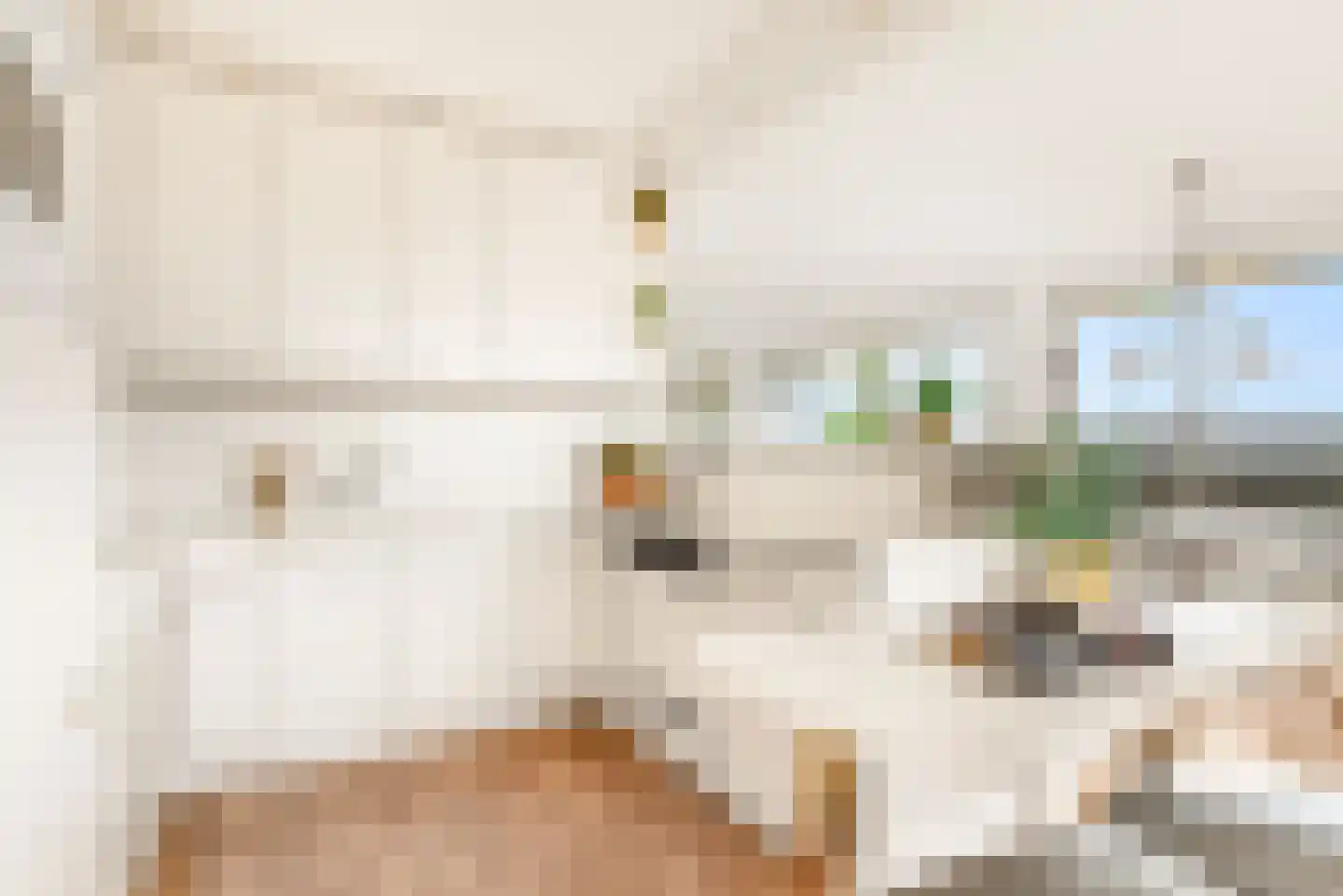 Boeier 14 Velserbroek thumbnail 31
