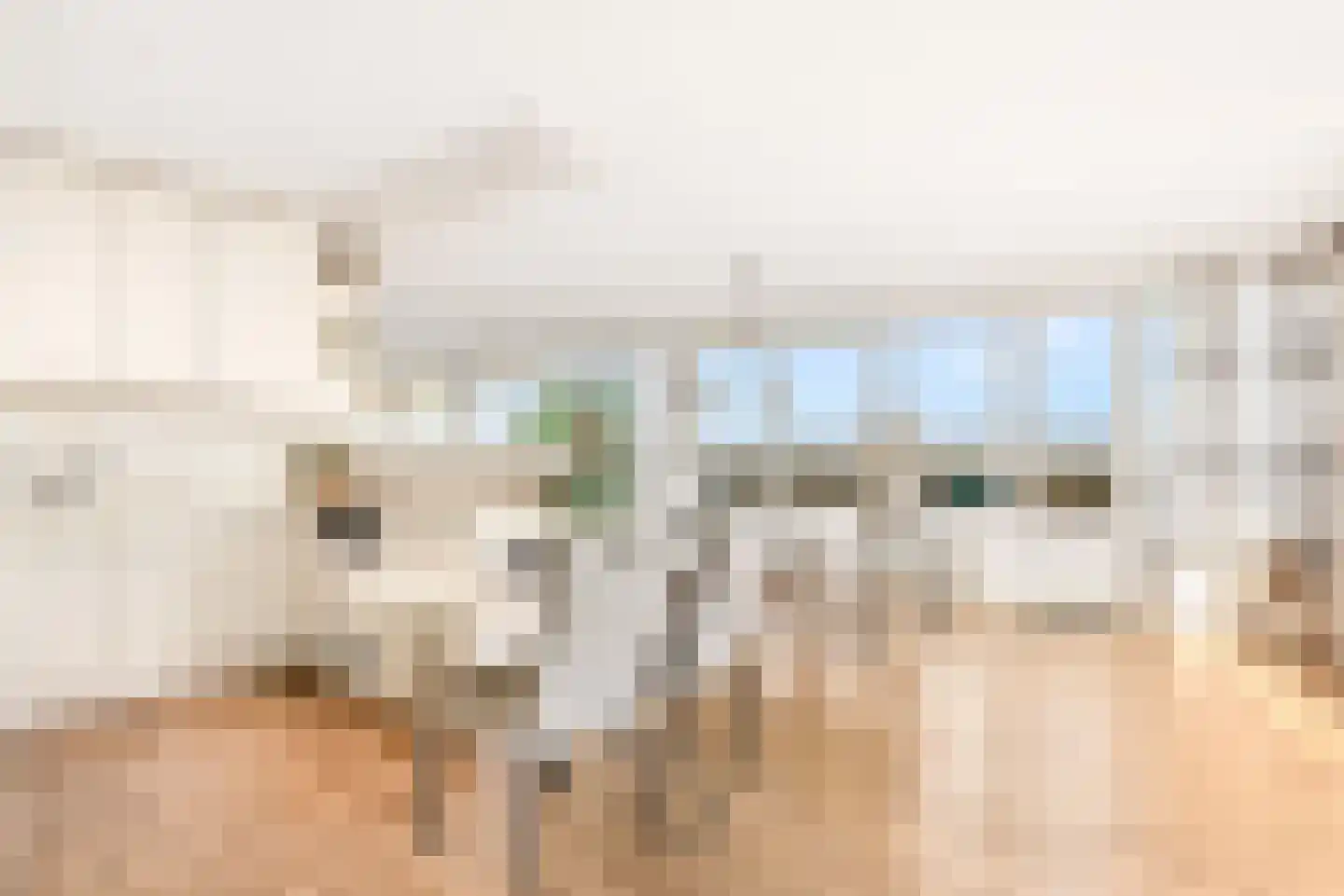 Boeier 14 Velserbroek thumbnail 32