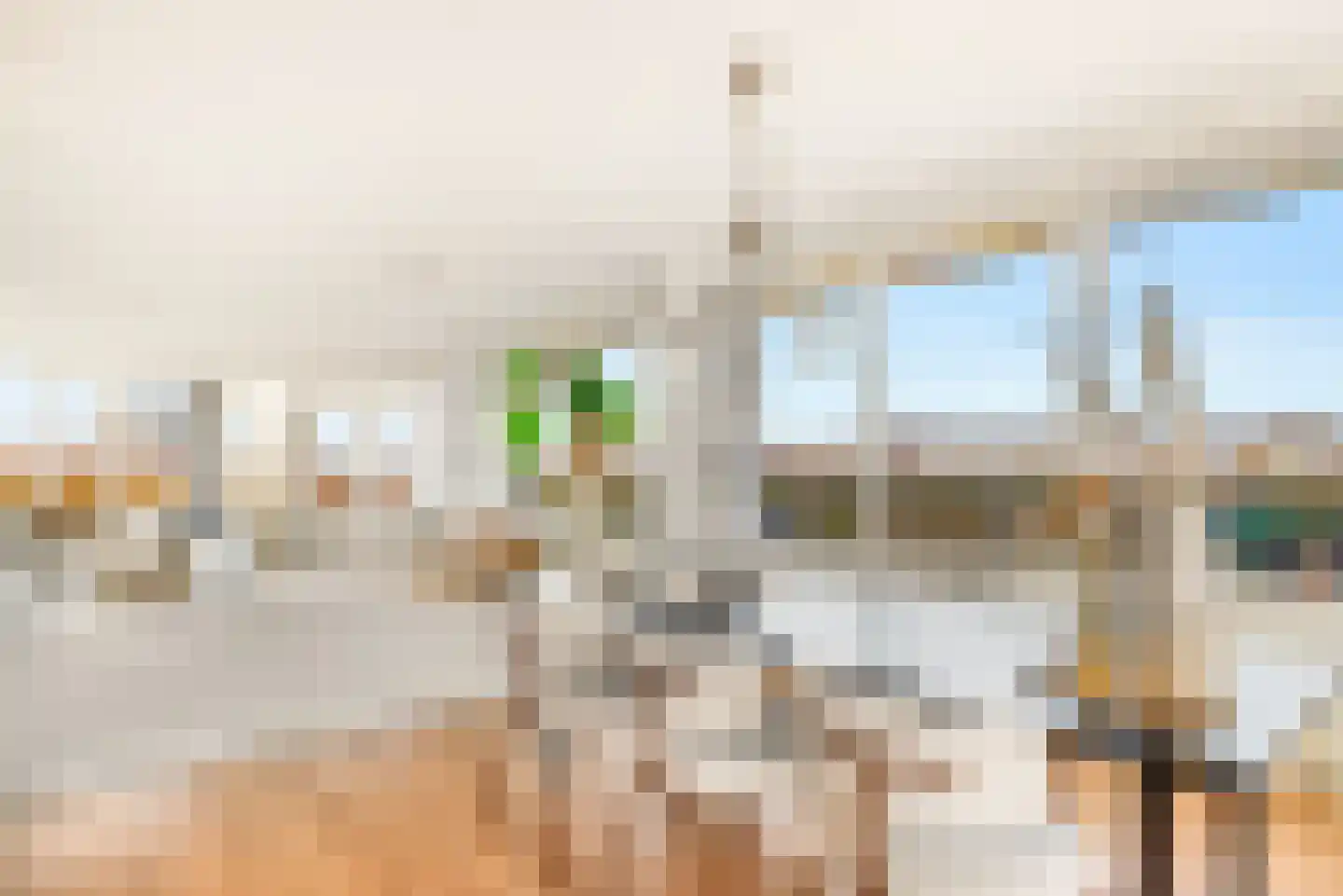 Boeier 14 Velserbroek thumbnail 34