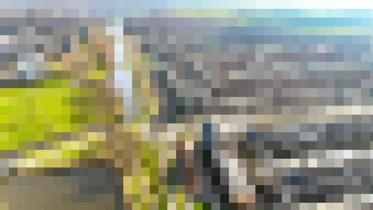Boeier 14 Velserbroek thumbnail 38