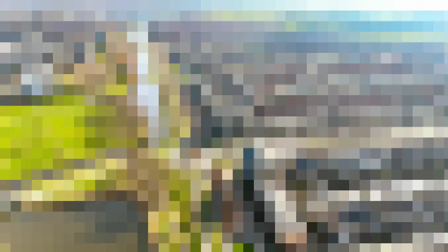 Boeier 14 Velserbroek thumbnail 38