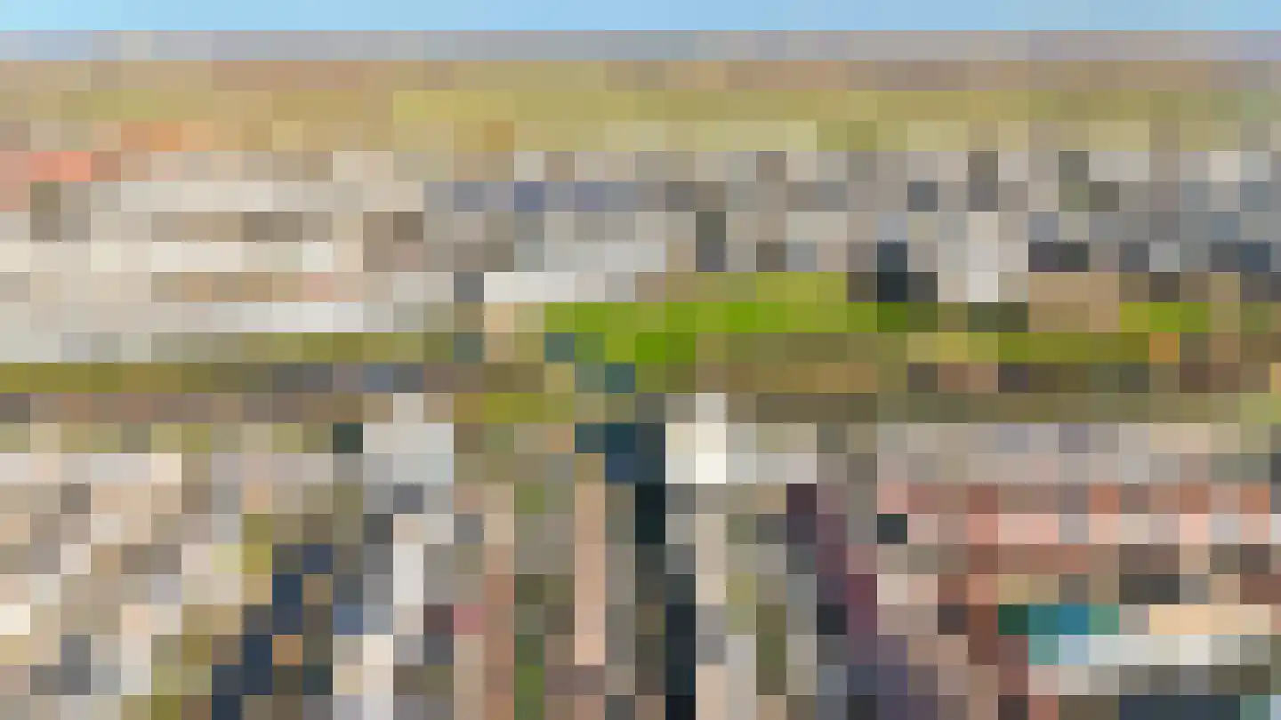 Boeier 14 Velserbroek thumbnail 39