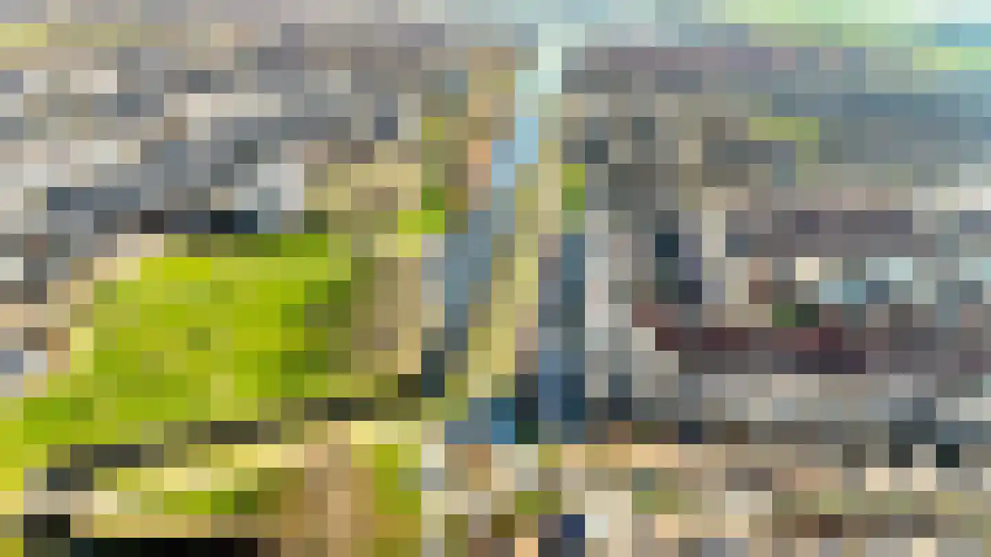 Boeier 14 Velserbroek thumbnail 41