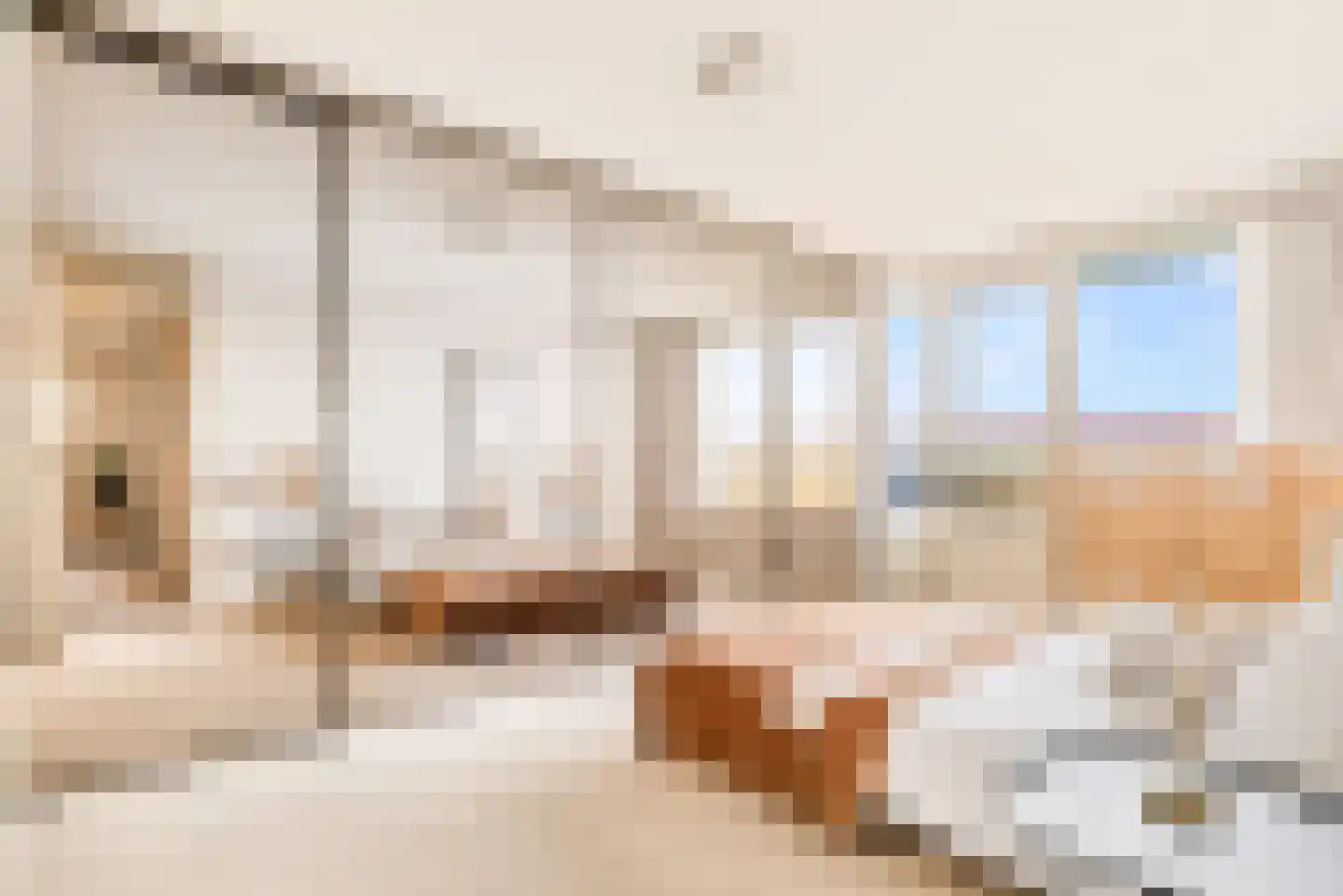 Boeier 14 Velserbroek thumbnail 5
