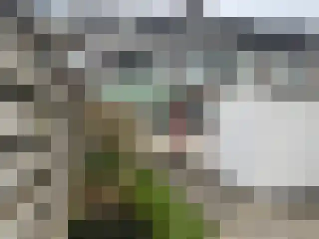 Boeier 16 Obdam foto 2