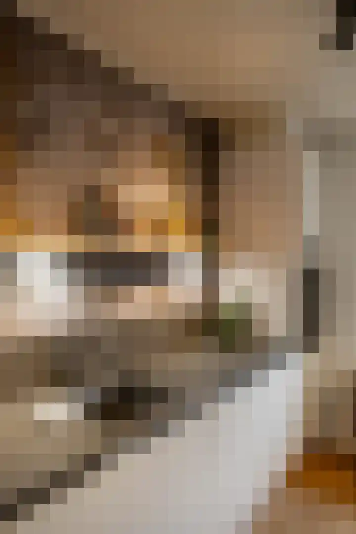 Boeier 16 Wieringerwerf thumbnail 12