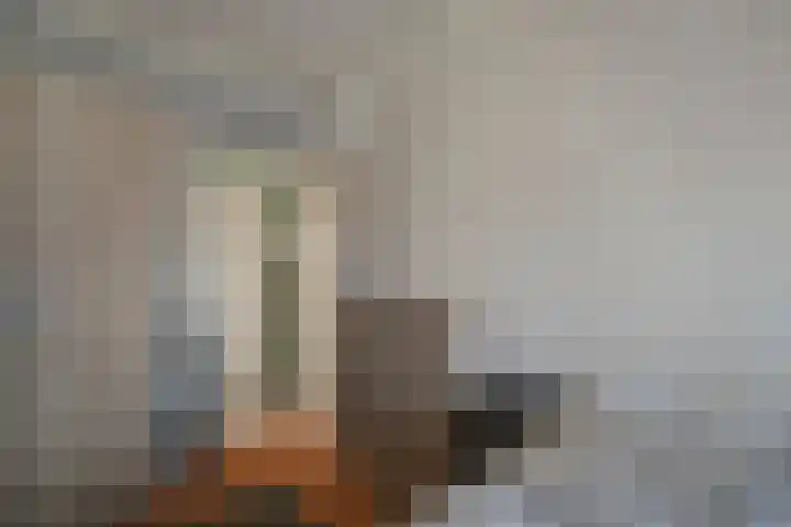 Boeier 16 Wieringerwerf thumbnail 19