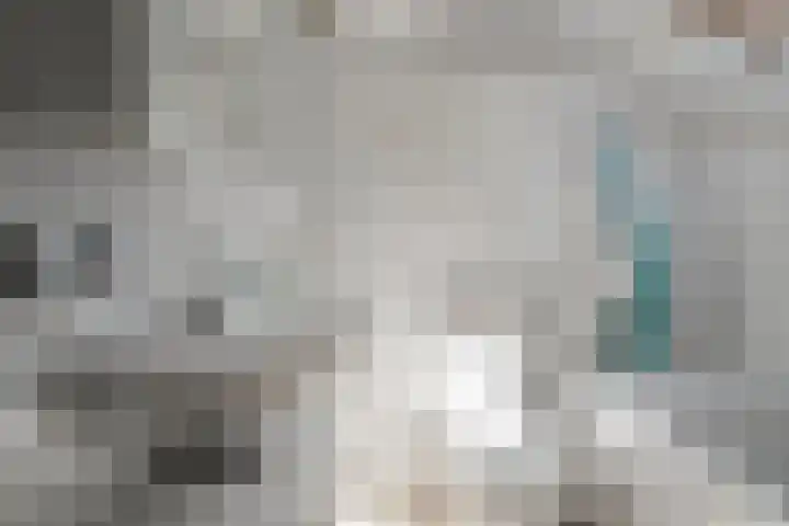 Boeier 16 Wieringerwerf thumbnail 20