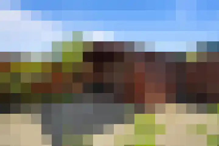 Boeier 16 Wieringerwerf thumbnail 22