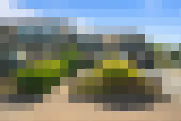 Boeier 16 Wieringerwerf thumbnail 7