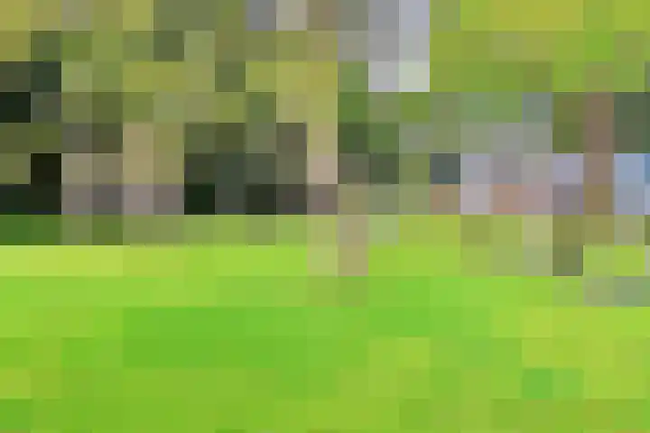 Boeier 18 Wieringerwerf thumbnail 12