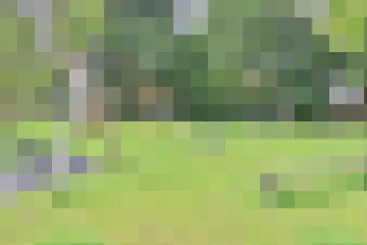 Boeier 18 Wieringerwerf thumbnail 13