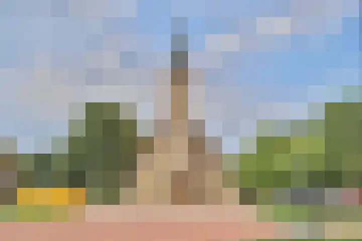 Boeier 18 Wieringerwerf thumbnail 14