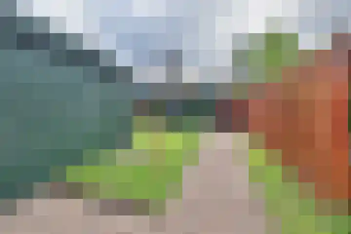 Boeier 18 Wieringerwerf thumbnail 15
