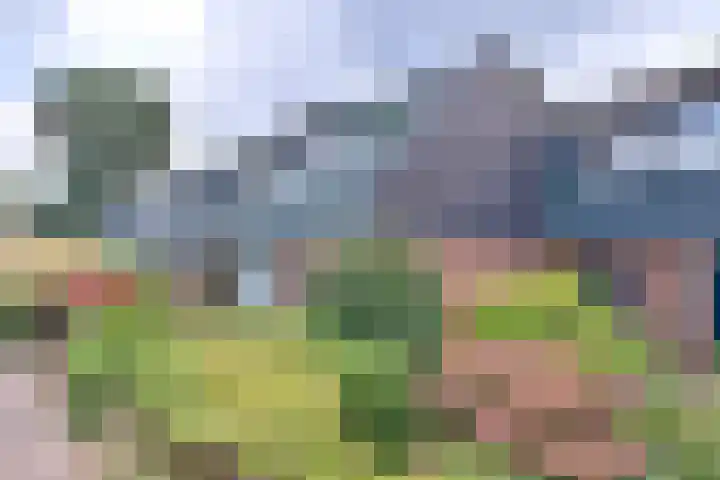 Boeier 18 Wieringerwerf foto 2