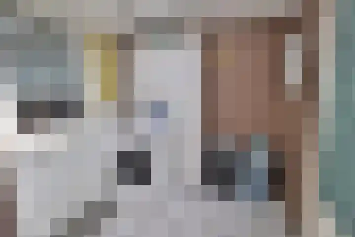 Boeier 18 Wieringerwerf foto 3