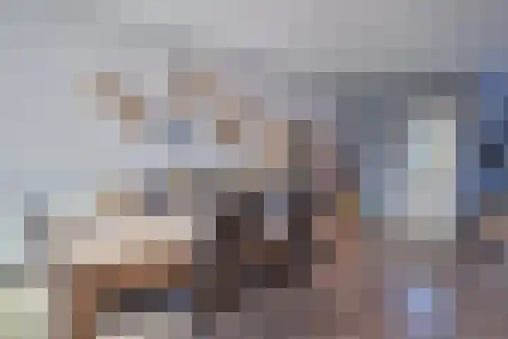 Boeier 18 Wieringerwerf thumbnail 4