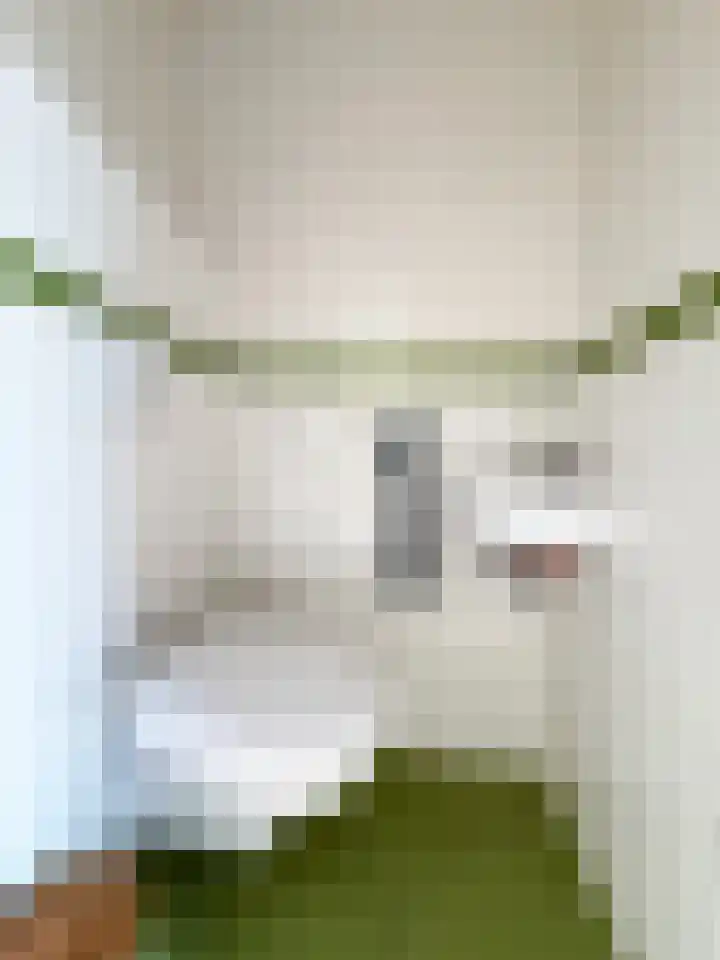 Boeier 18 Wieringerwerf thumbnail 9