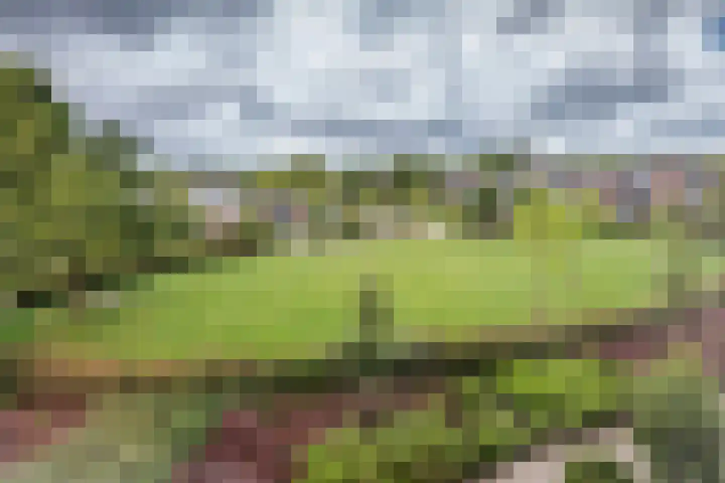 Boeier 21 Barendrecht thumbnail 24