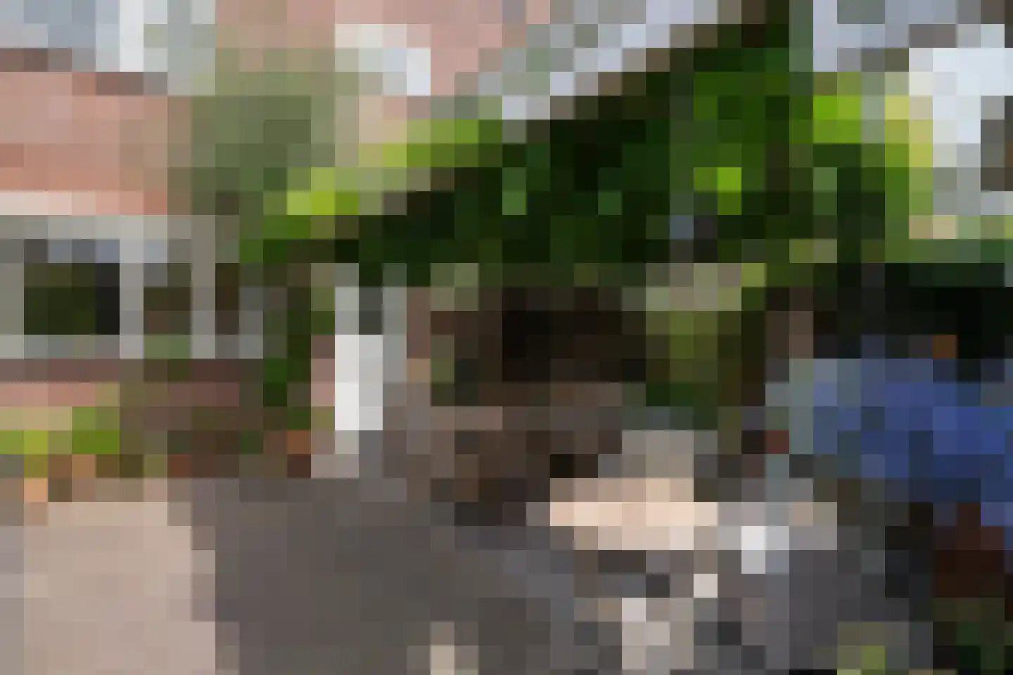 Boeier 21 Barendrecht thumbnail 32