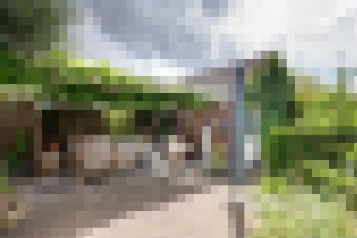 Boeier 21 Barendrecht thumbnail 33