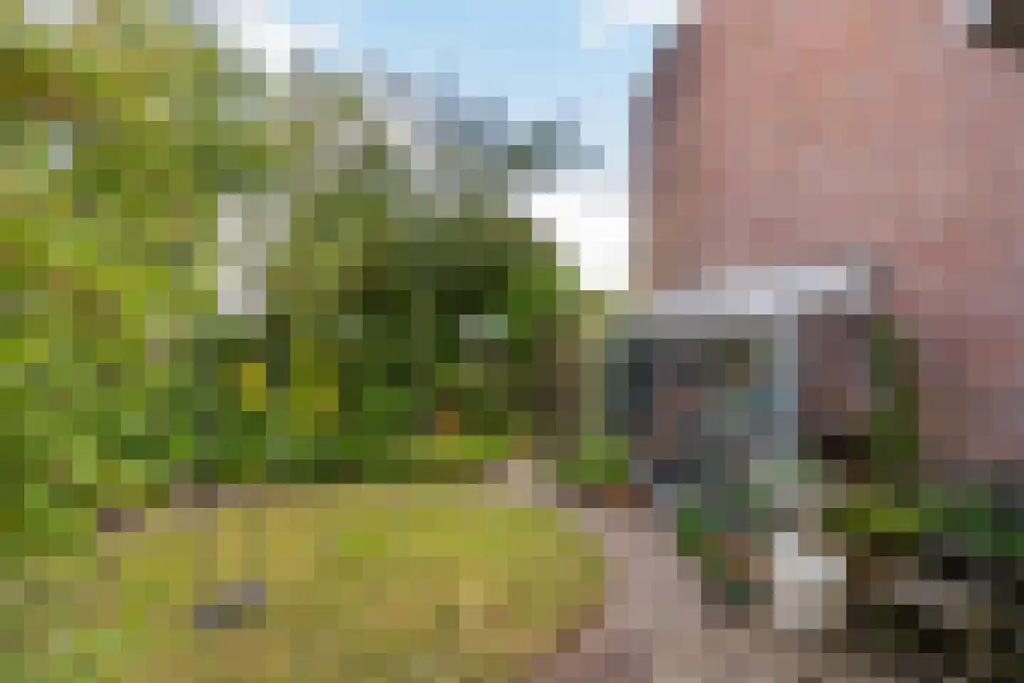 Boeier 21 Barendrecht thumbnail 34