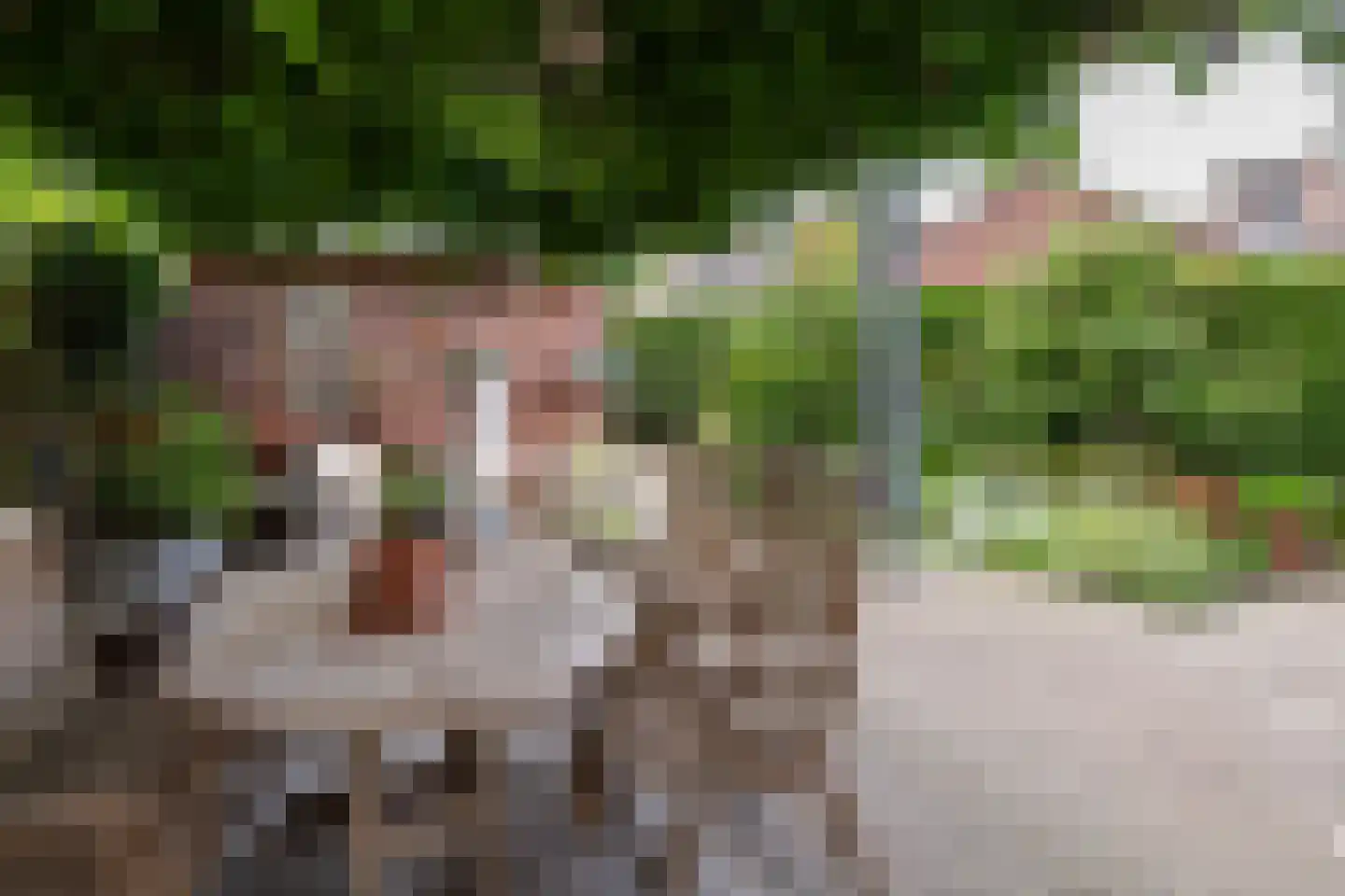 Boeier 21 Barendrecht thumbnail 35