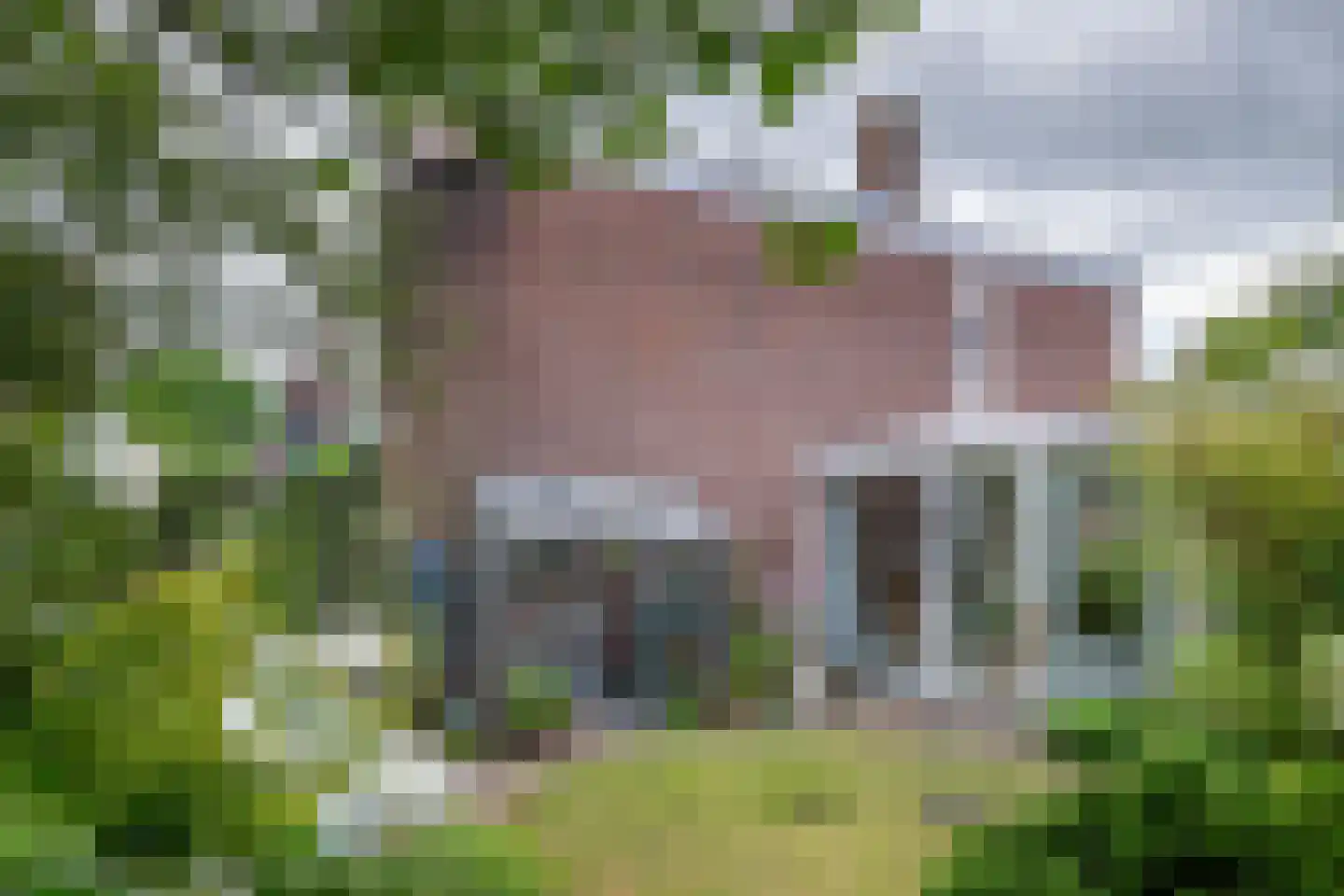 Boeier 21 Barendrecht thumbnail 36